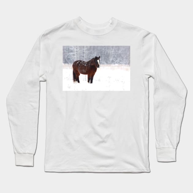 Brown on White - Horse Long Sleeve T-Shirt by Jim Cumming